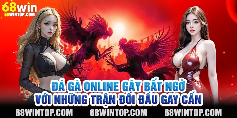 Đá gà online gây bất ngờ với những trận đối đầu gay cấn