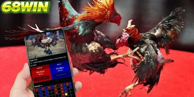 Nhịp độ thi đấu diễn ra gần như không có khoảng nghỉ