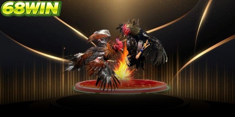 Trong quá trình xem người chơi đối mặt với cảm giác hồi hộp